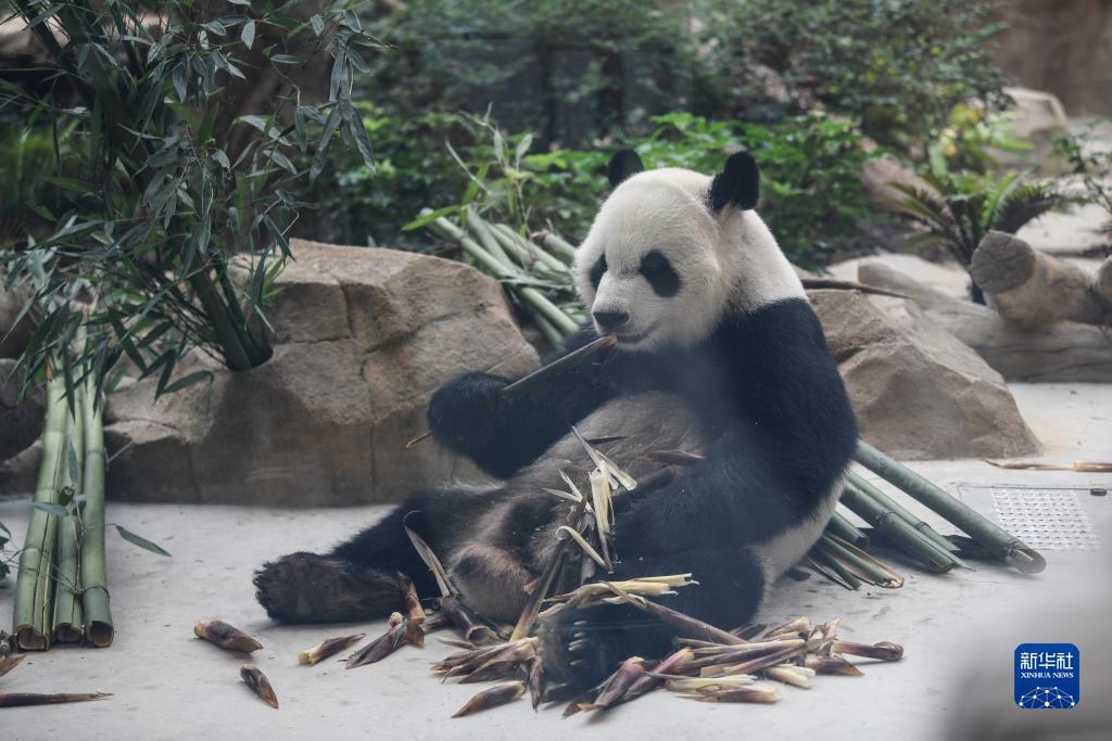 乐游棋牌网站